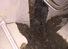 浚县卫生间测漏水哪家好