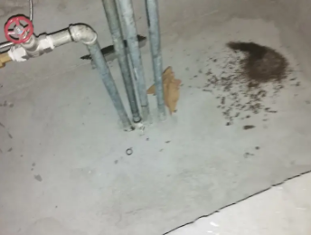 浚县卫生间测漏水价格明细